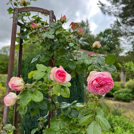 Le Loriot Bed & Breakfast Champagne-et-Fontaine Dış mekan fotoğraf